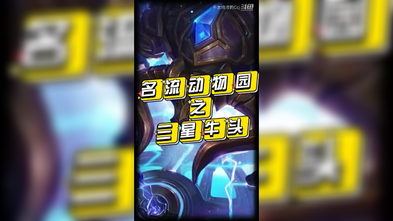 CCJ名流动物园