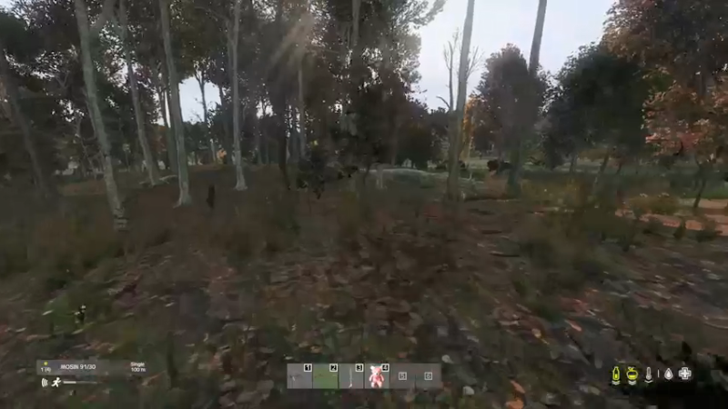 【2022-05-14 17点场】dayz韩爱东西：将鲜花先给山岸逢花