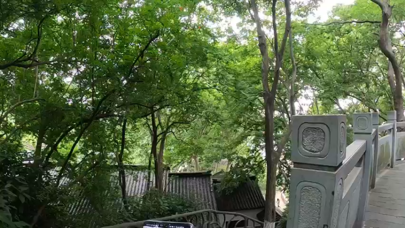 【2022-05-15 17点场】刘灶灶：共享单车骑十几公里。。。