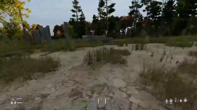 【2022-05-15 19点场】dayz韩爱东西：将鲜花先给山岸逢花