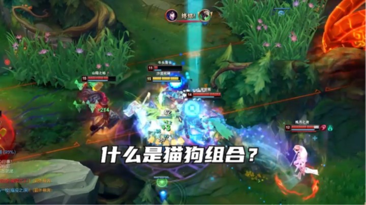 猫狗组合 横屏