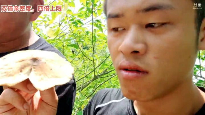 浩哥收地笼看到了集中菌，发了啊