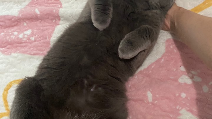 H会开荒SW5.15开会穆鲁