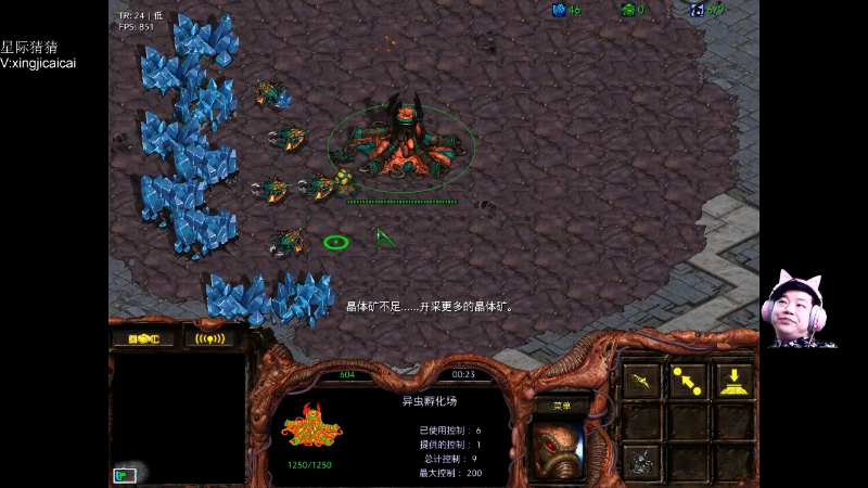 【星际争霸】星际猜猜的精彩时刻 20220516 00点场