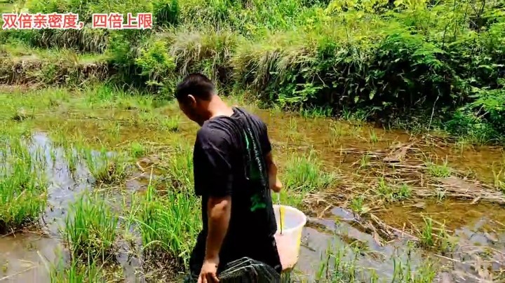 浩哥直播收地笼，地笼很多，东西很少啊