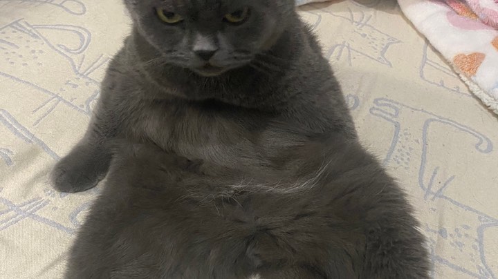 H会开荒SW5.15开会穆鲁