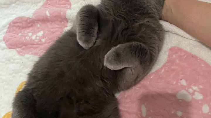 H会开荒SW5.15开会穆鲁