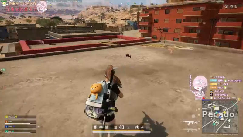 【2022-05-16 02点场】花桑丶065：【花桑】有幸遇见 谢谢你一直在