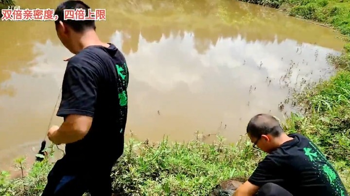浩哥看看三娃和表弟收地笼抓龙虾，哦美滋滋啊
