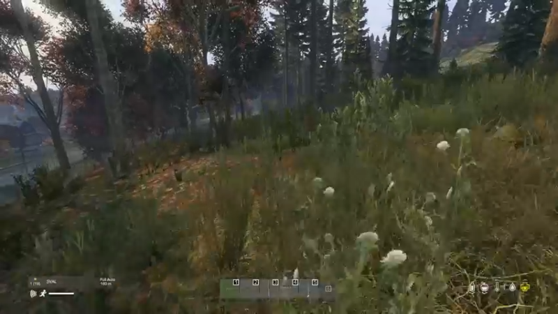 【2022-05-17 16点场】dayz韩爱东西：老韩亡命dayz