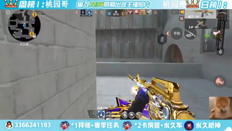【2022-05-13 16点场】一哲丶：q区V区上车 一起玩