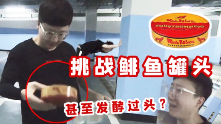 对不起，我再也不乱立flag了