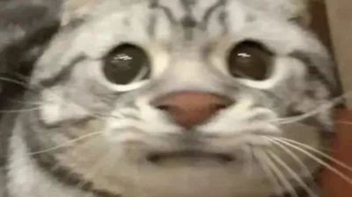 18残暴剧场加一
