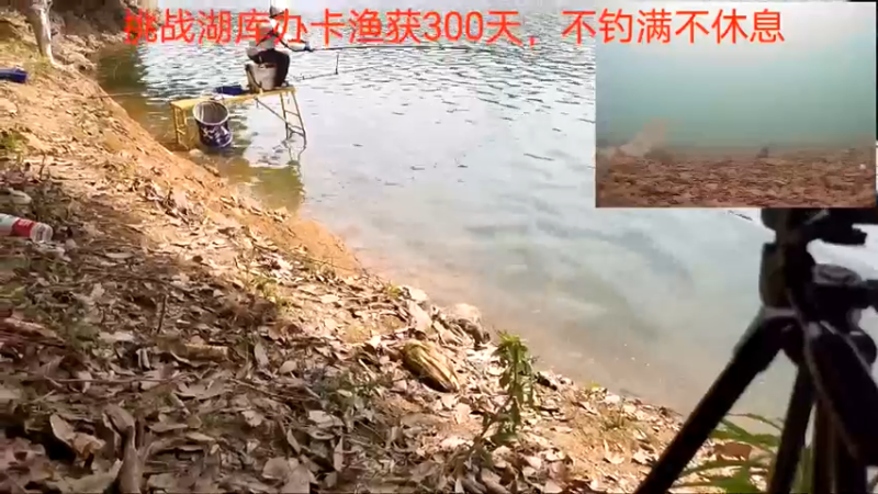 【2022-05-17 10点场】中华户外钓鱼：昨天三麻袋酒糟今天赶早