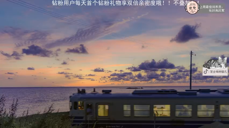 【2022-05-16 20点场】芝士味的韫儿：19:30来！学校开会！nono着急！！