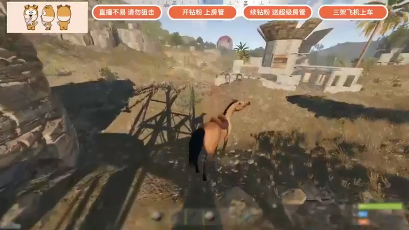 【GY阳哥】：多少有点荒野求生的感觉了