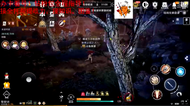 【2022-05-15 22点场】毒葯宝宝：全区第一战力，专业！