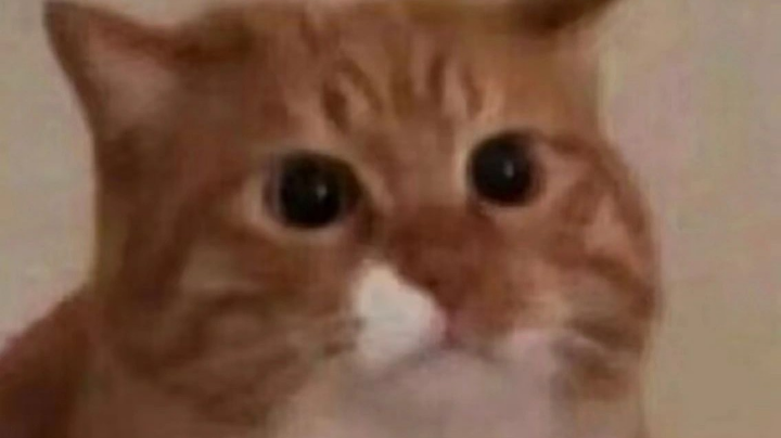 키키