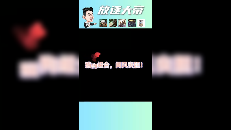 猫狗组合，没有意外