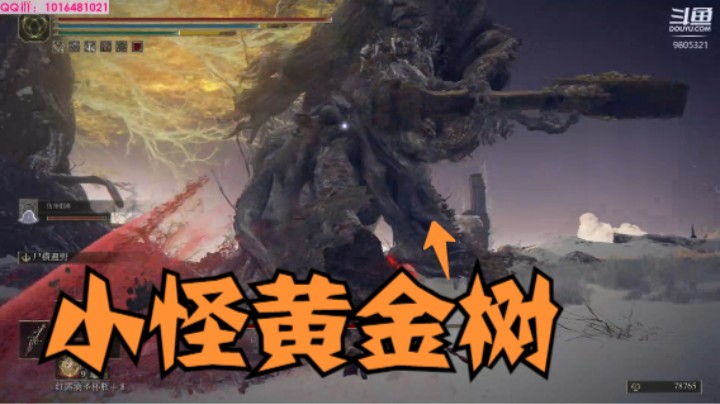 N见黄金树：心无波澜