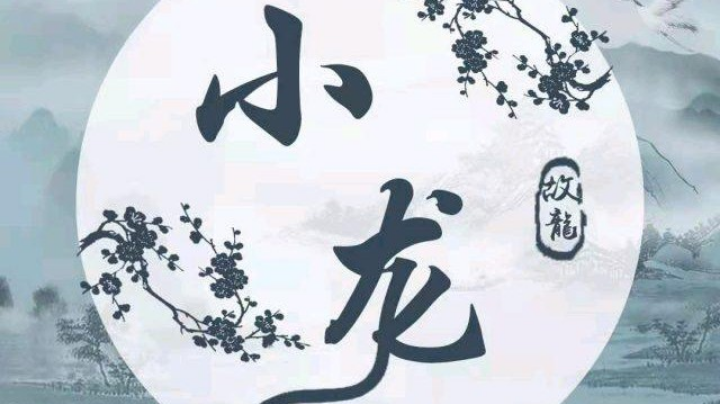 撩妹