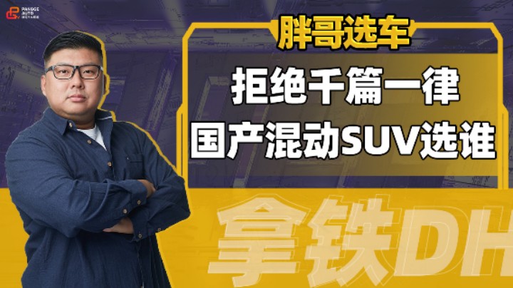 拒绝千篇一律，25万国产混动SUV谁更个性？
