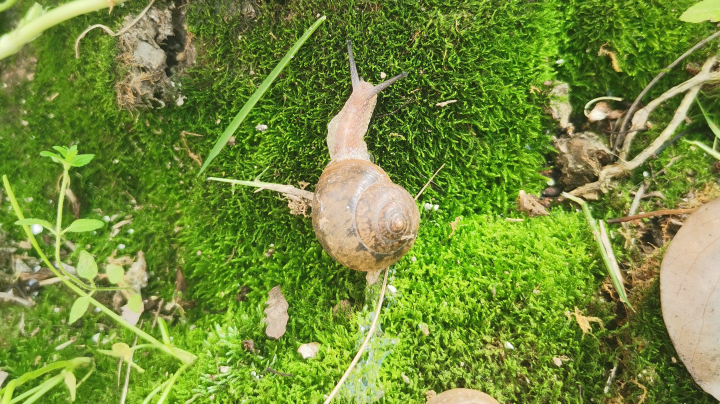 直播日常