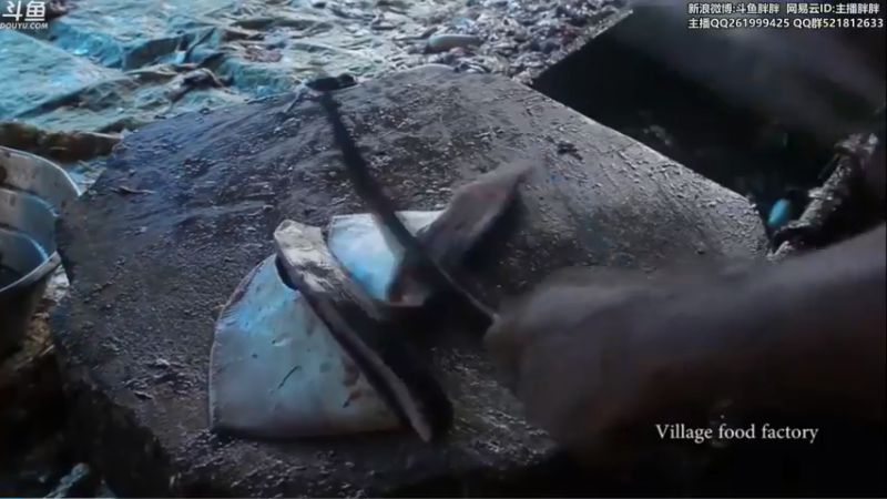 【2022-05-18 04点场】胖胖灬：胖胖OB：RNG G2 T1 韩服乱斗！