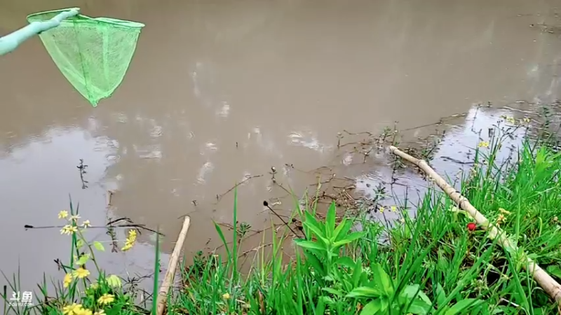 【2022-05-18 17点场】逐梦兄弟：11点开播