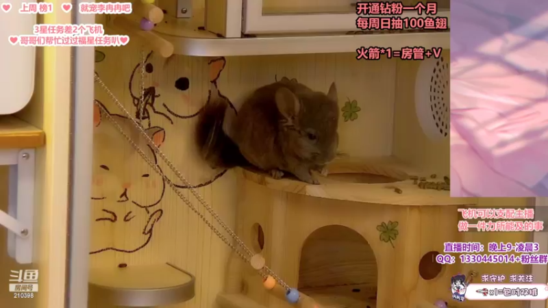 【2022-05-18 21点场】李冉冉i：感冒加重♥持续发烧♥