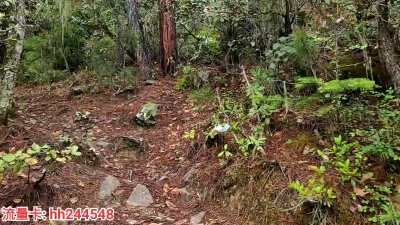 徒步雨崩之路4