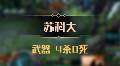 【苏科大】武器 4杀0死