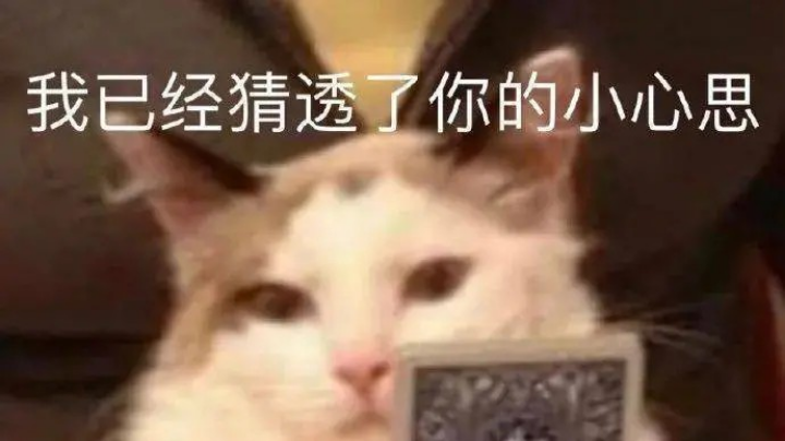 嘉慧贴贴