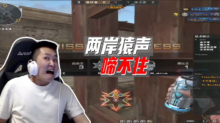 两岸猿声啼不住