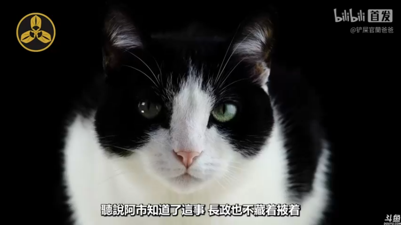 【2022-05-20 14点场】猫叔灬灬：【猫叔】 太阁立志传5X信喵之野望~~~