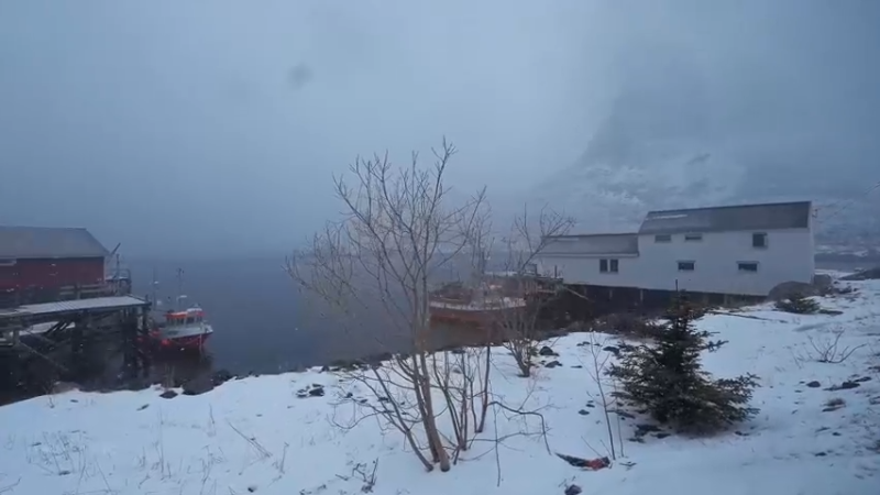 挪威-罗弗敦群岛-早晨降雪漫步
