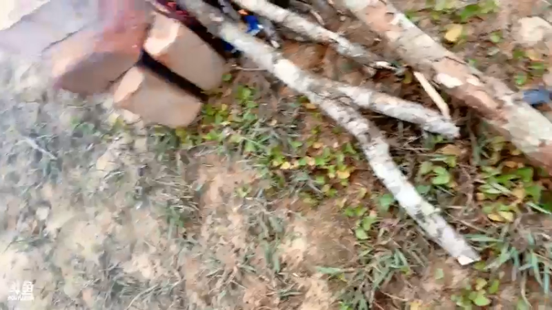 【2022-05-21 17点场】主播阿郎：水库守巨物 320155 320155