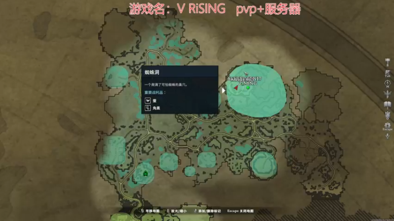 【2022-05-19 16点场】丶子魂魄兮为鬼雄：雄：又双叒叕找一个新游戏看看