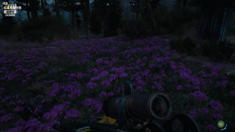 【2022-05-18 15点场】侵凌：一个杀人不眨眼得杀手