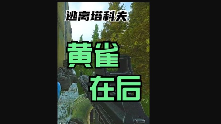 黄雀在后