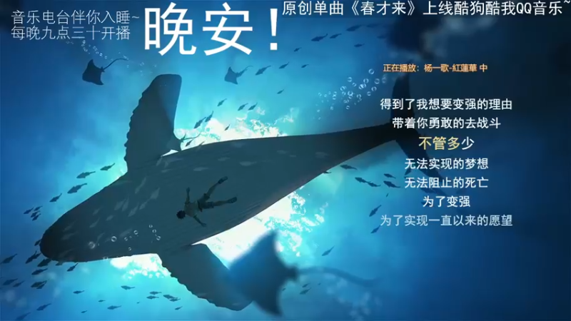 【2022-05-21 03点场】杨一歌：杨一歌：发出心动的声音~11258