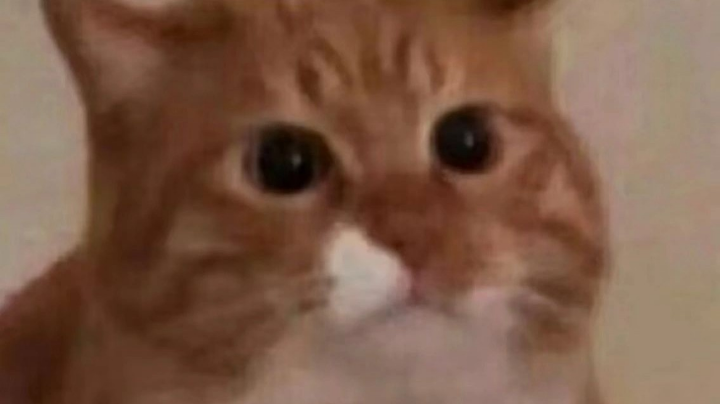 耳
