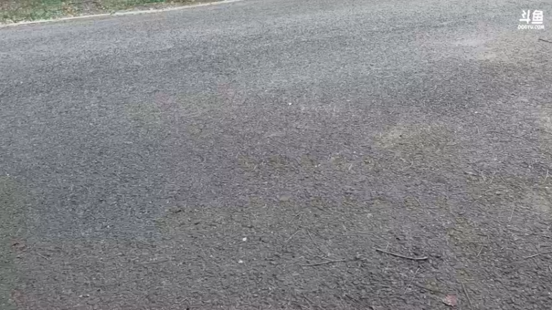 【2022-05-21 13点场】硬汉哥孙士彧：北陵公园溜达