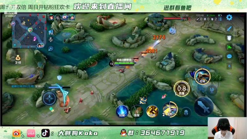 【2022-05-20 22点场】大胖狗koko：治愈时间到