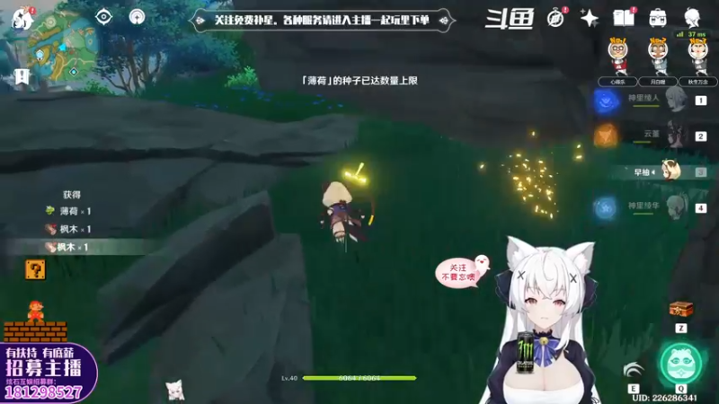 【2022-05-20 20点场】卡佬GTX1080tiPrime：『免费补星』什么都肝の猫猫