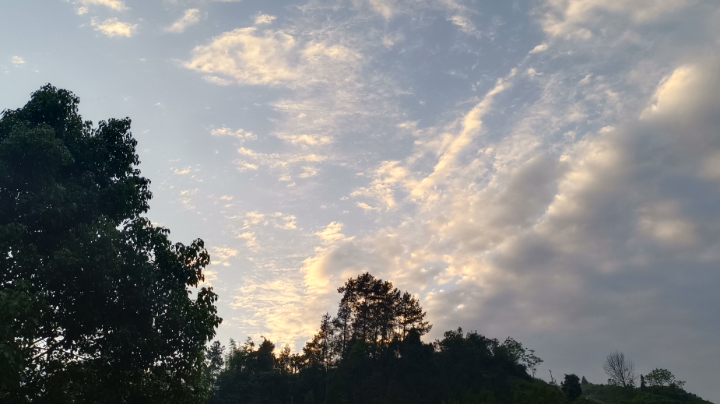 雄一把萎三把，我也很无奈鸭