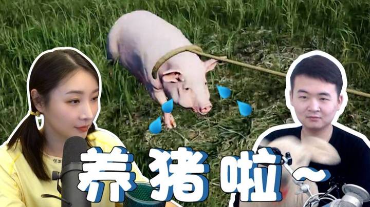 【女流】养猪比开车还难