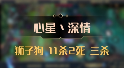 【心星丶深情】狮子狗 11杀2死 三杀