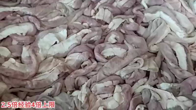 【2022-05-20 22点场】叶子户外：《纪实直播》一路向西→雨崩村