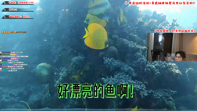 【热门游戏】imxiaoxin的精彩时刻 20220522 01点场